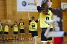 První utknání finálevé serie BDL pro rok 2016_19