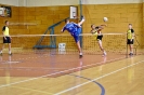 První utknání finálevé serie BDL pro rok 2016_21