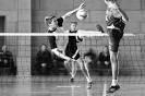 První utknání finálevé serie BDL pro rok 2016_35
