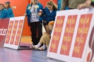 Superfinále I.ligy žen: TJ Slavoj Český Brod vs TJ Sokol Vršovice_11