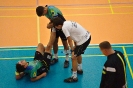 SF#1 BDL: TJ Spartak Čelákovice vs MNK Modřice_28