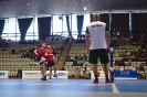 Superfinále BDL: TJ Radomyšl vs MNK Modřice_5
