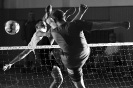 Přátelské utkání na přípravu pro BDL_5