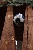 1.kolo KP: SK Jizerní Vtelno vs TJ Slavoj Vrdy_5