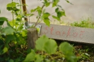 Turnaj trojic ve Strakoči_26