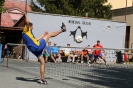2014 - OP3 Čáslav_87