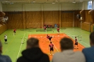 Baráž#2 Extraligy: TJ Peklo vs TJ Radomyšl_43
