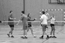 2017 - T3 Vinoř
