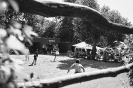 60.ročník osadní klasiky_19