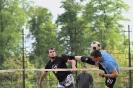 Turnaj trojic v Třebechovicích pod Orebem_24